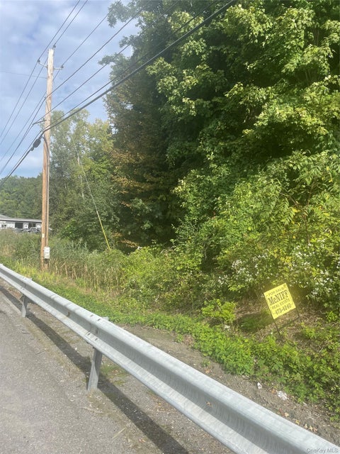 Vacant Land For Sale - 3632 Rte. 9.<br/> Hyde Park, NY 12601