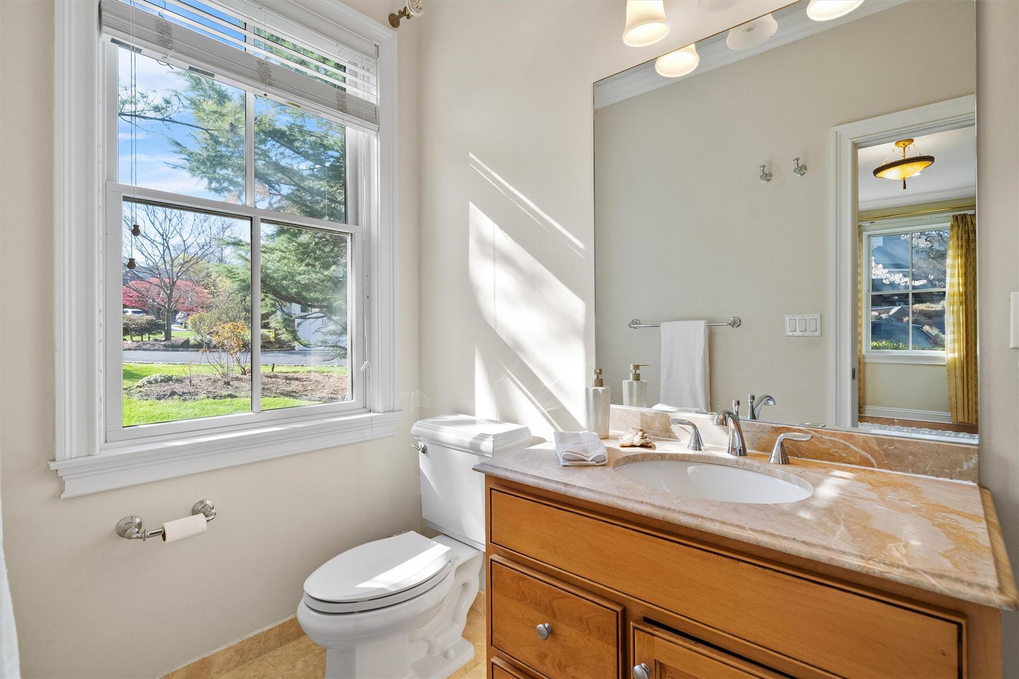 10 Sylvia Avenue, Ardsley, New York image 24