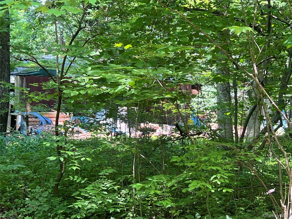 Photo of 25 Hornbeck Ridge RD RD, Poughkeepsie, NY 12603 (MLS # 1020779)