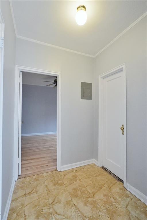 920 E 17 Street #411, Brooklyn, New York image 19