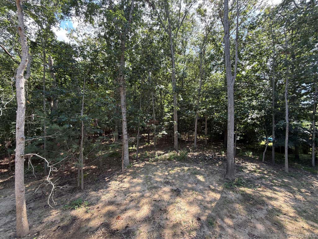 Photo of 6 Scout Trail, Ridge, NY 11961 (MLS # 1036370)