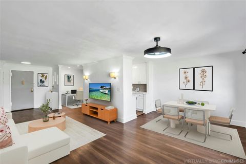 3 Birchwood Court #5K Mineola NY 11501