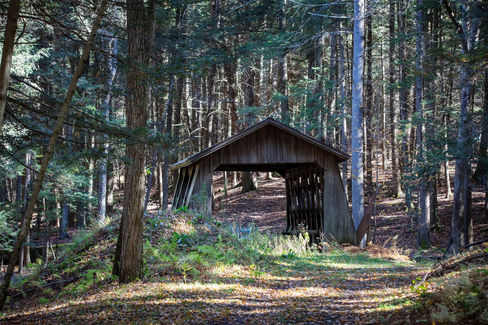 390 Erpf Road, Arkville, New York image 41