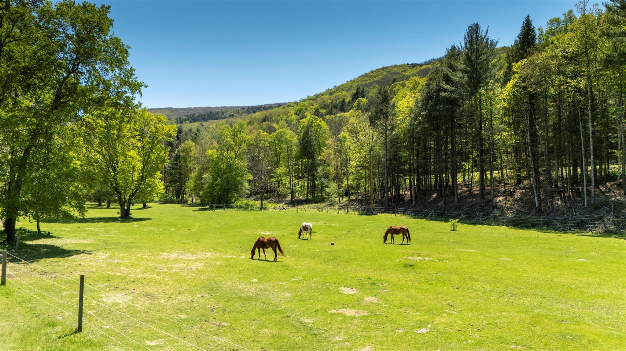 390 Erpf Road, Arkville, New York image 34