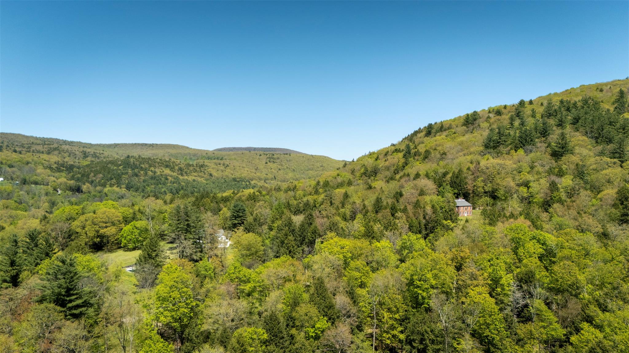 390 Erpf Road, Arkville, New York image 38