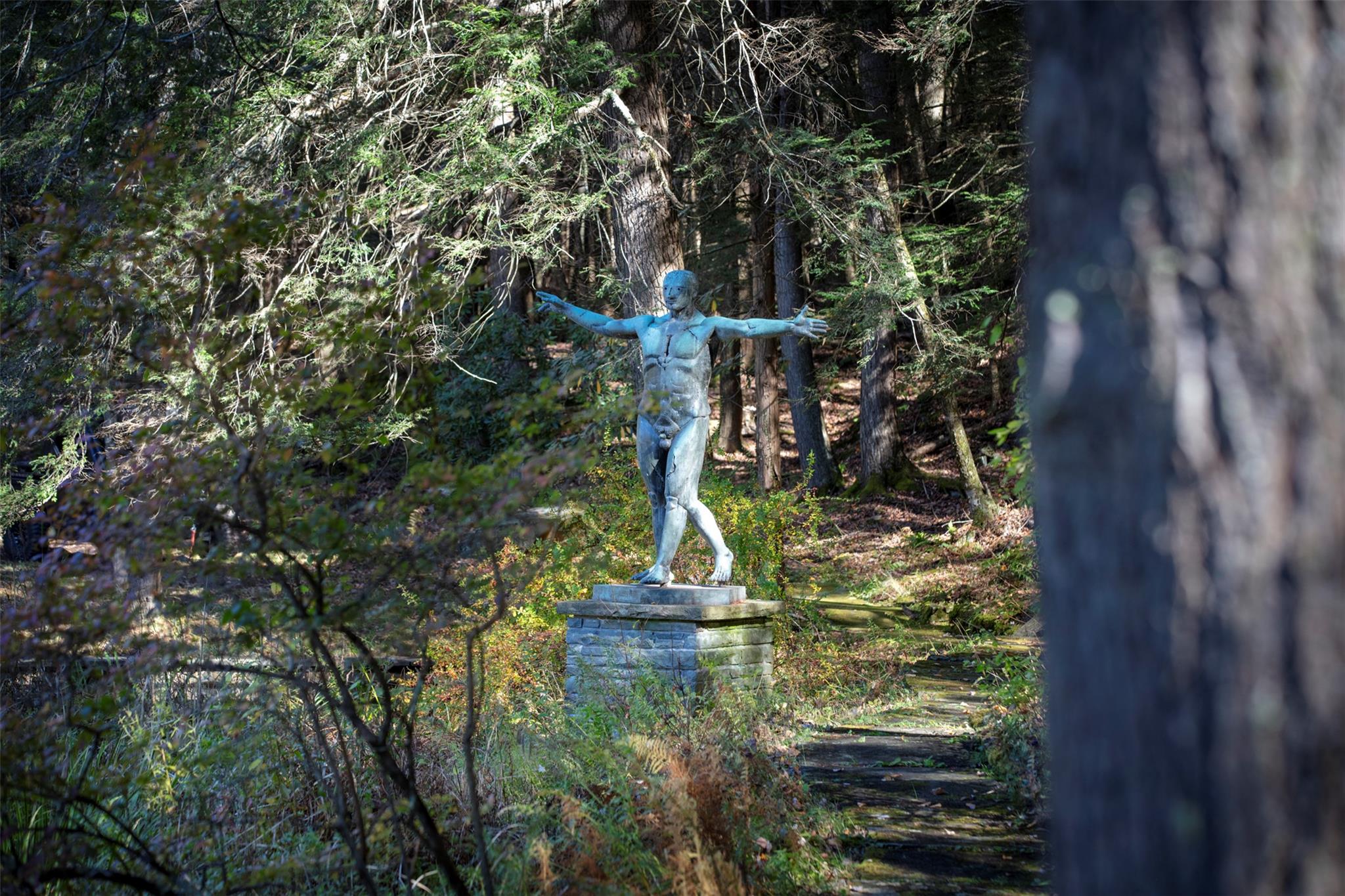 390 Erpf Road, Arkville, New York image 44