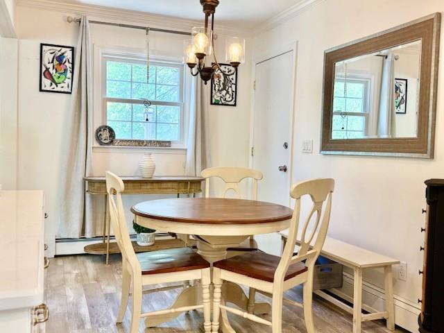 18 Cherry Lane, Port Jefferson Station, New York image 17