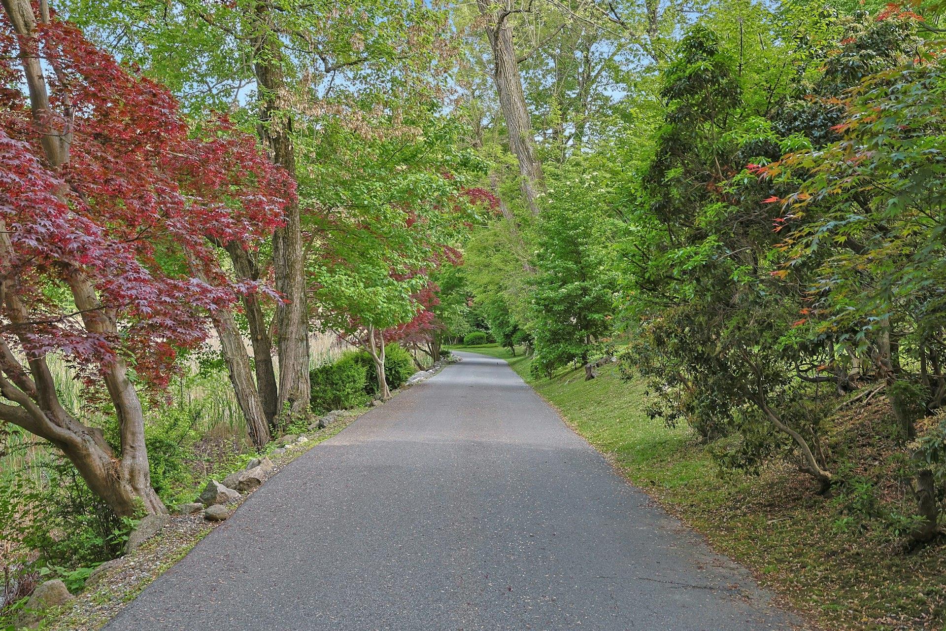 300 Sheldon Avenue, Tarrytown, New York image 5