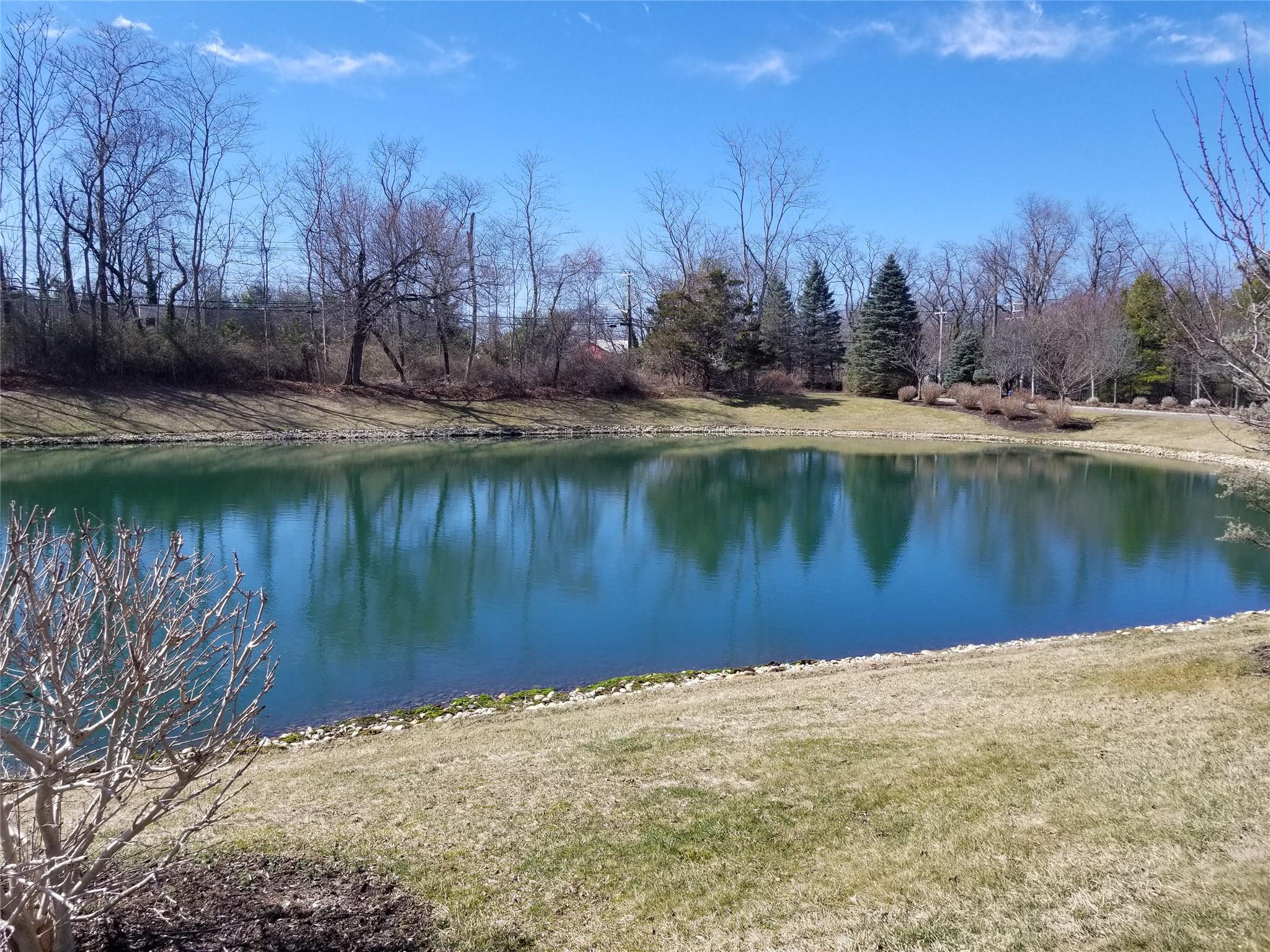 10 NE Emilys Way, East Setauket, New York image 12