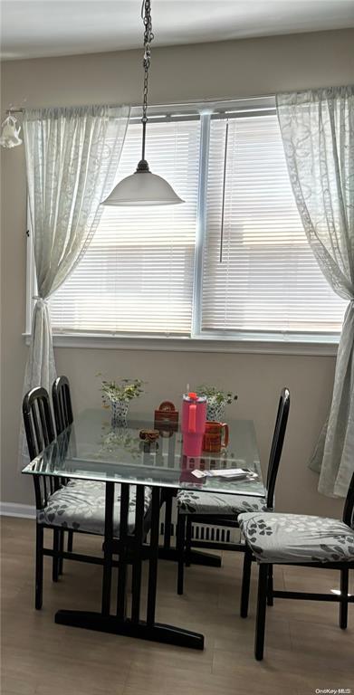 182 Lowell Avenue, Floral Park, New York image 23