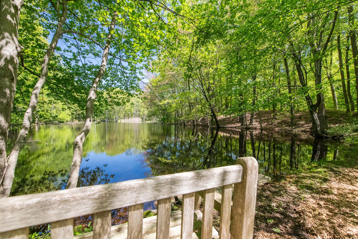 33 Pells Road, Rhinebeck, New York image 46