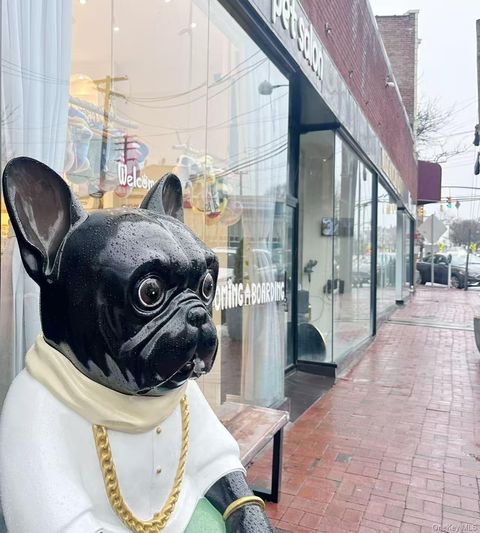 15 Cutter Mill Road Great Neck NY 11021