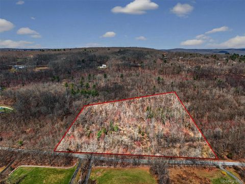 Vacant Land For Sale - Horton Road<br/> Bloomingburg, NY 12721