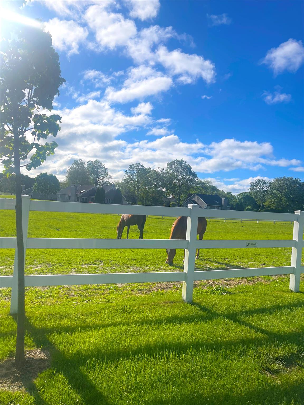 28 Pameeches Path, East Moriches, New York image 31