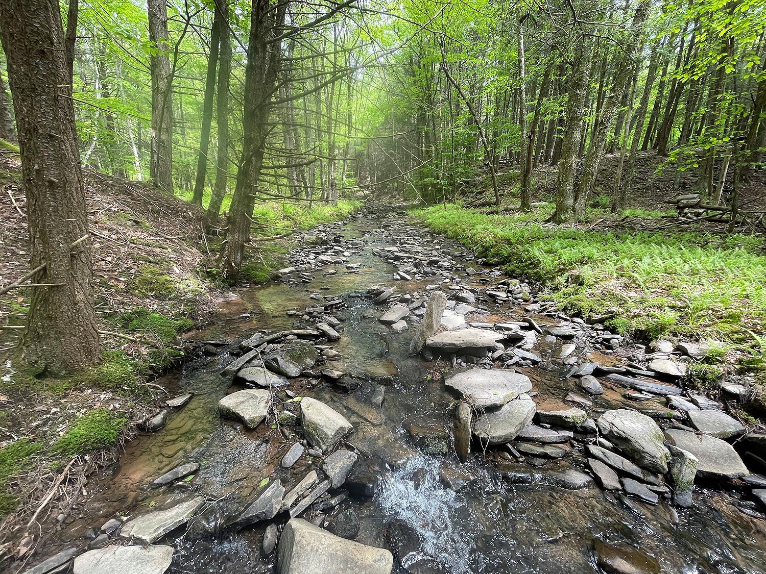 Eminence Road, Hancock, New York image 24