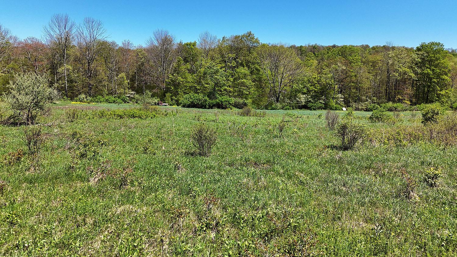 Eminence Road, Hancock, New York image 16