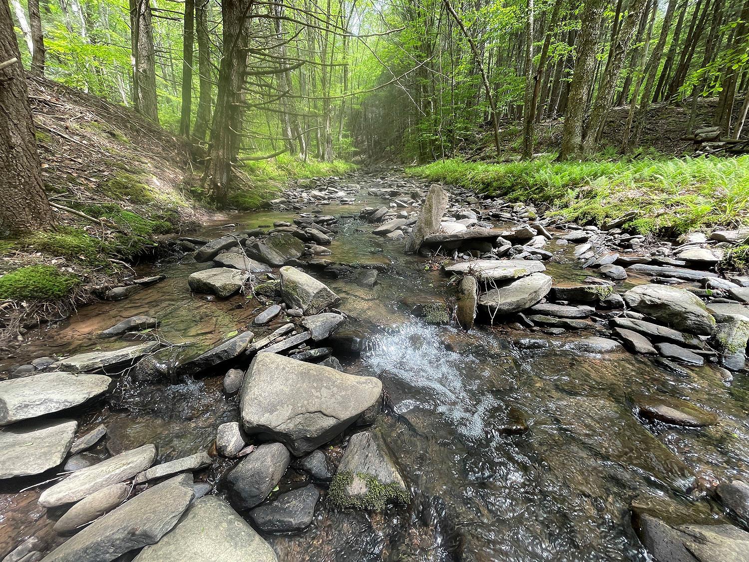 Eminence Road, Hancock, New York image 3