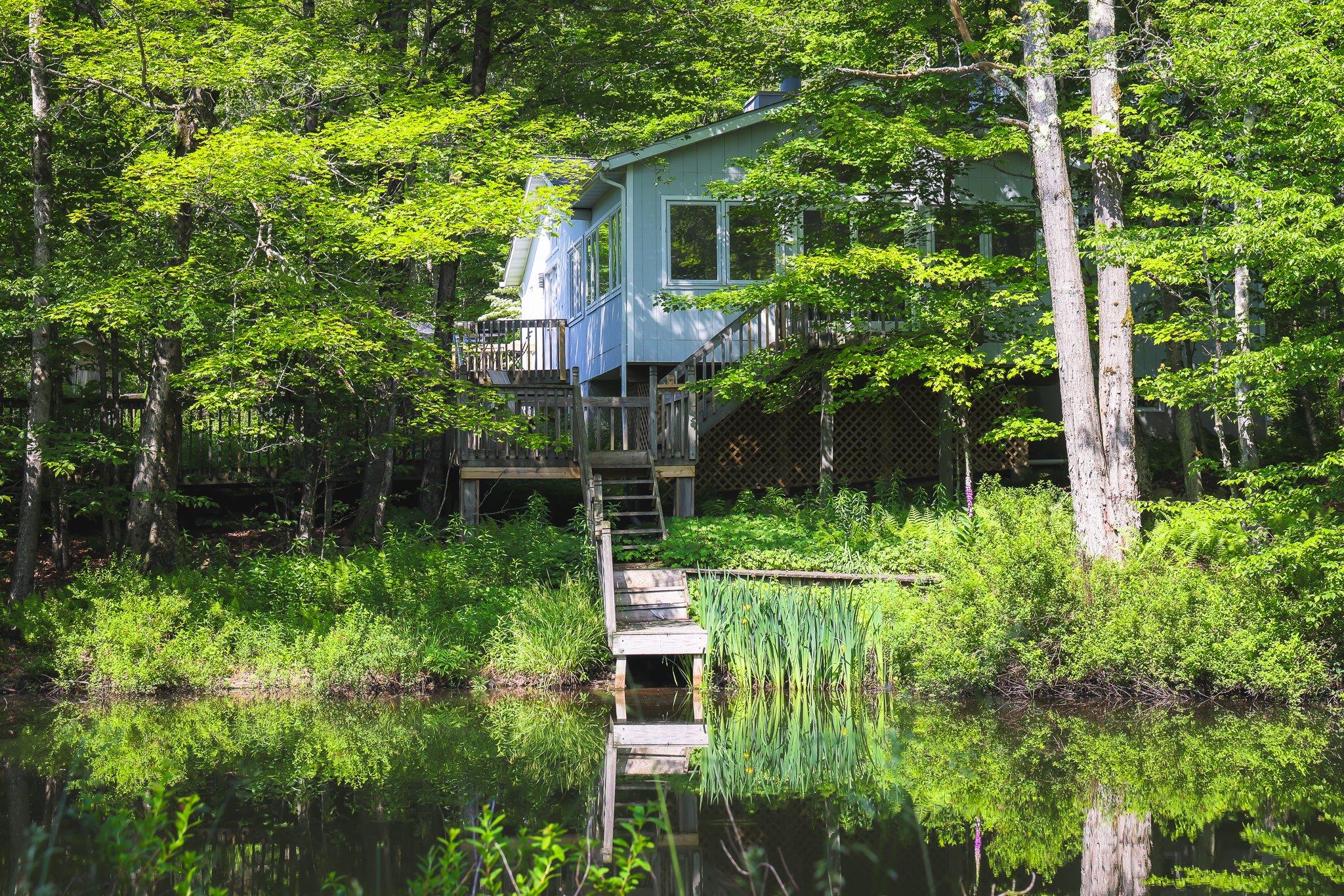 558 White Roe Lake Road