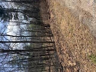 14 Old Country Road