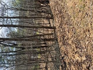14 Old Country Road