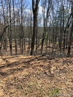 Vacant Land For Sale - 14 Old Country Road<br/> Orange County, Sparrowbush, NY 12780