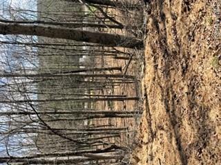 14 Old Country Road