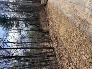 14 Old Country Road