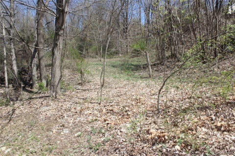 Vacant Land For Sale - Old State Route 22<br/> Amenia, NY 12501