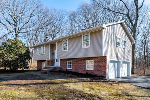 Homes For Sale - 12 Blueberry Lane<br/> Stormville, NY 12582