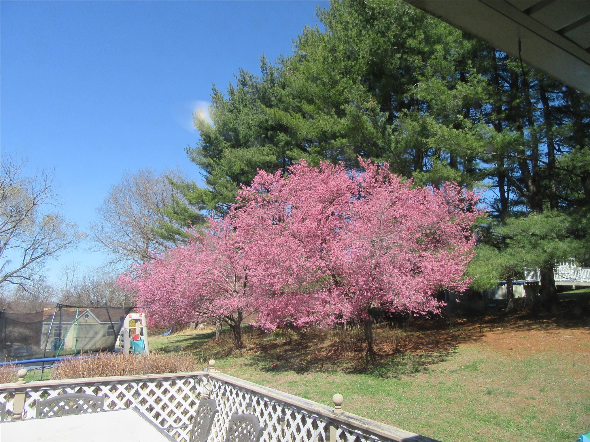 29 Beattie Road, Washingtonville, New York image 3