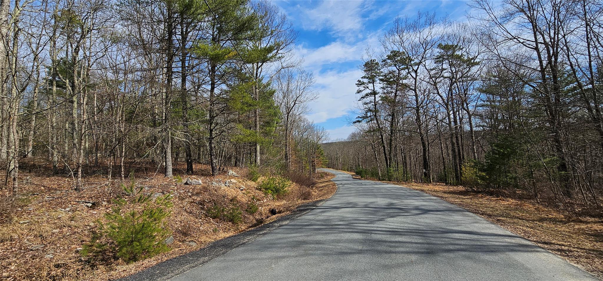 Lot 20.22 Woods Road, Barryville, New York image 2