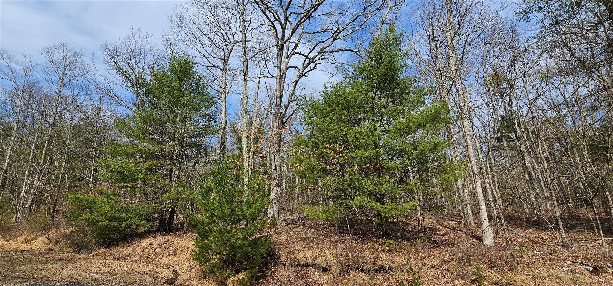 Lot 20.22 Woods Road, Barryville, New York image 1
