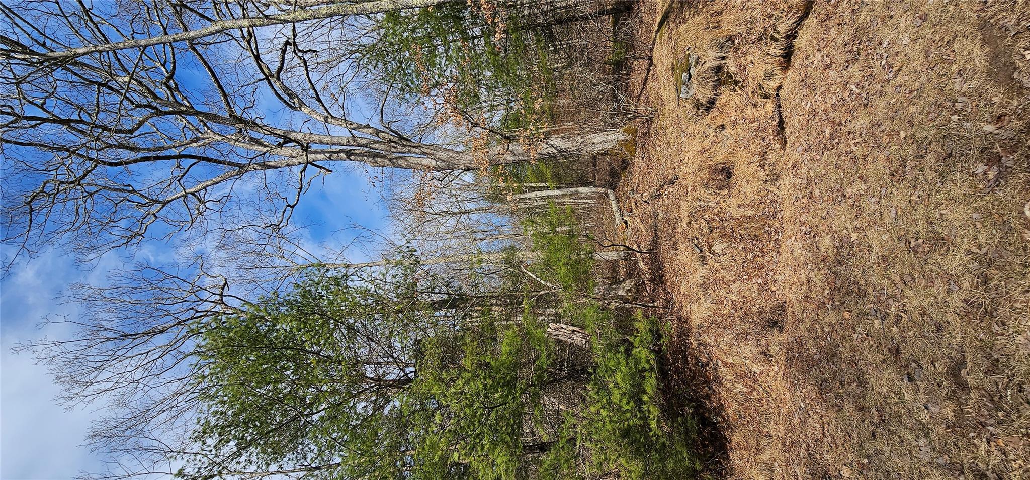 Lot 20.22 Woods Road, Barryville, New York image 3