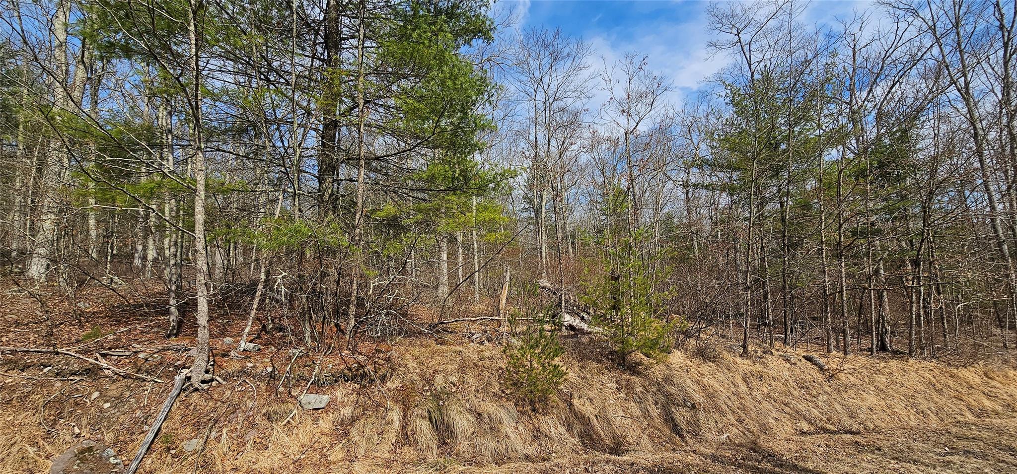 Lot 20.22 Woods Road, Barryville, New York image 6
