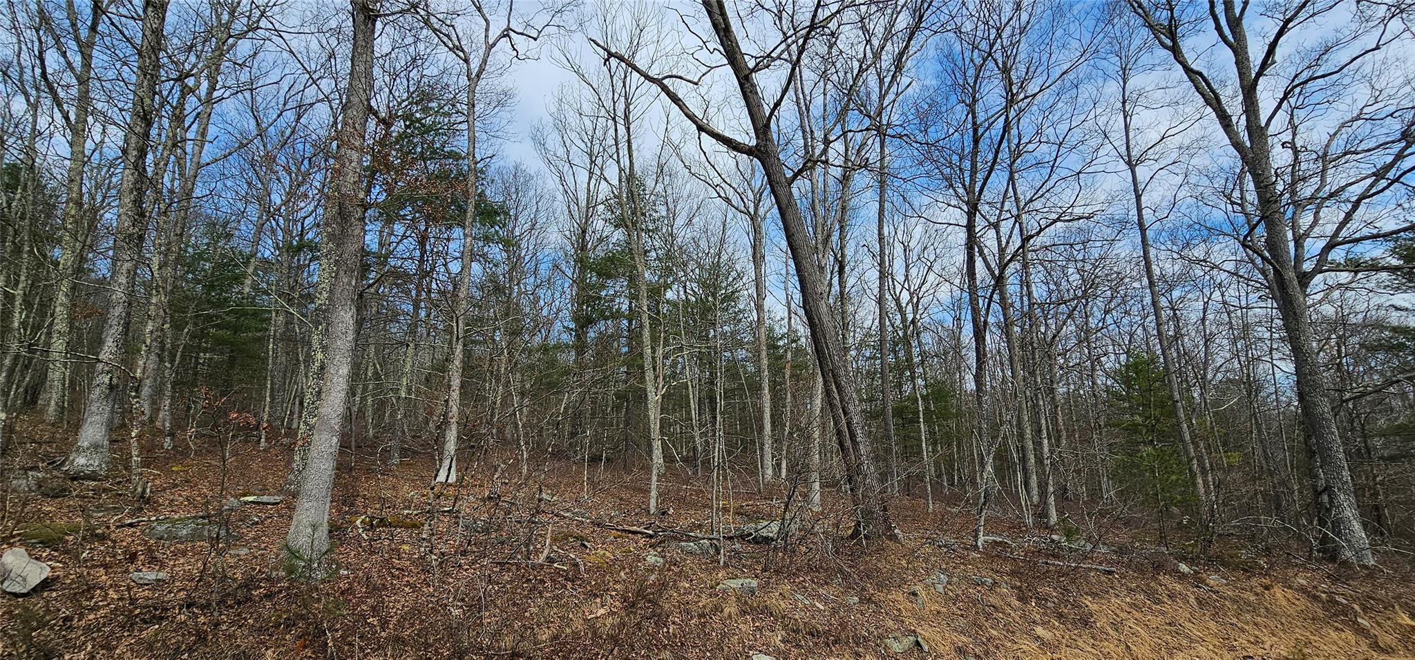 Lot 20.22 Woods Road, Barryville, New York image 10