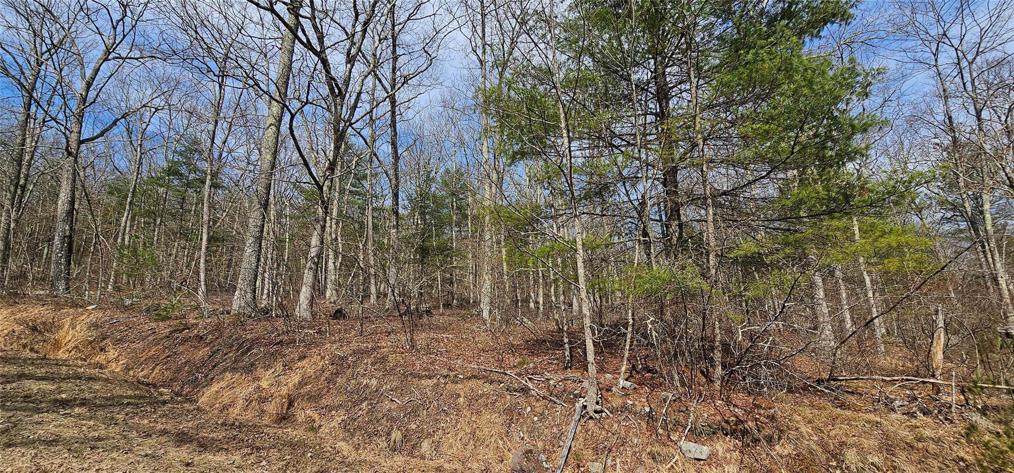 Lot 20.22 Woods Road, Barryville, New York image 7