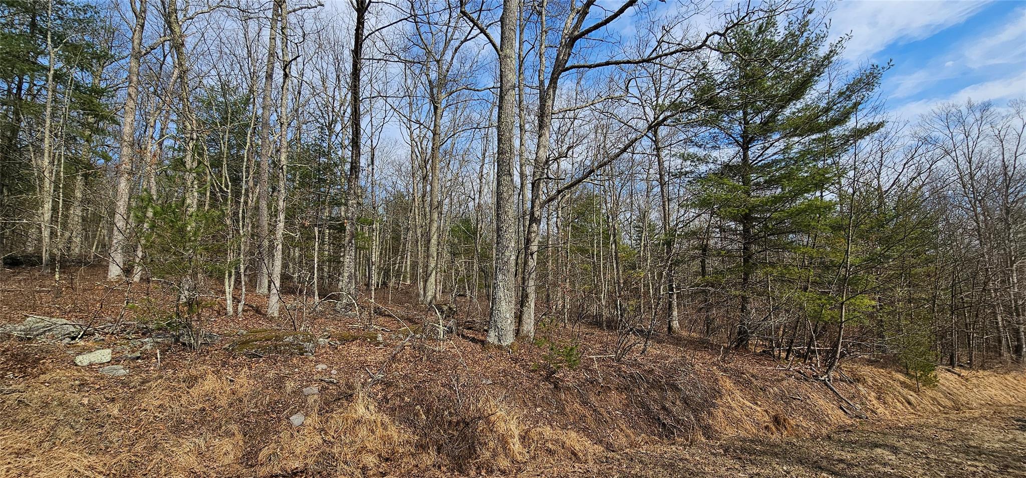 Lot 20.22 Woods Road, Barryville, New York image 9
