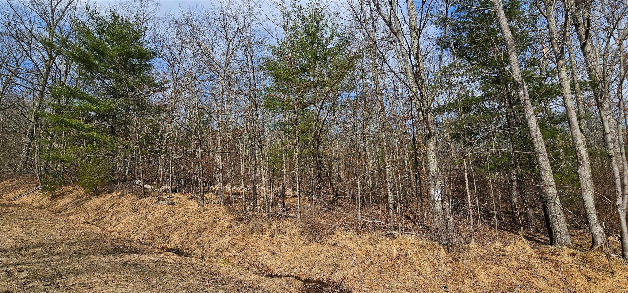 Lot 20.22 Woods Road, Barryville, New York image 4