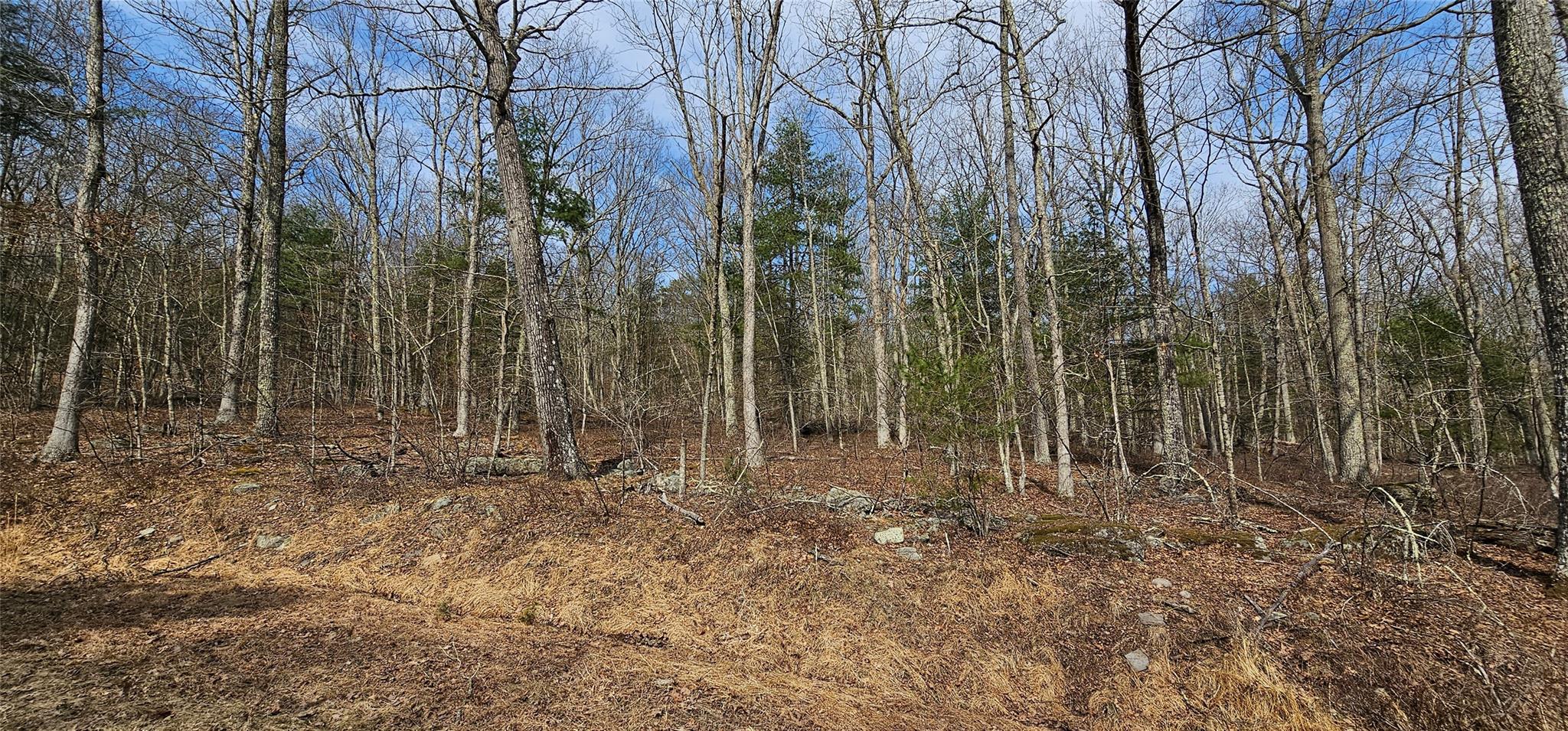Lot 20.22 Woods Road, Barryville, New York image 8