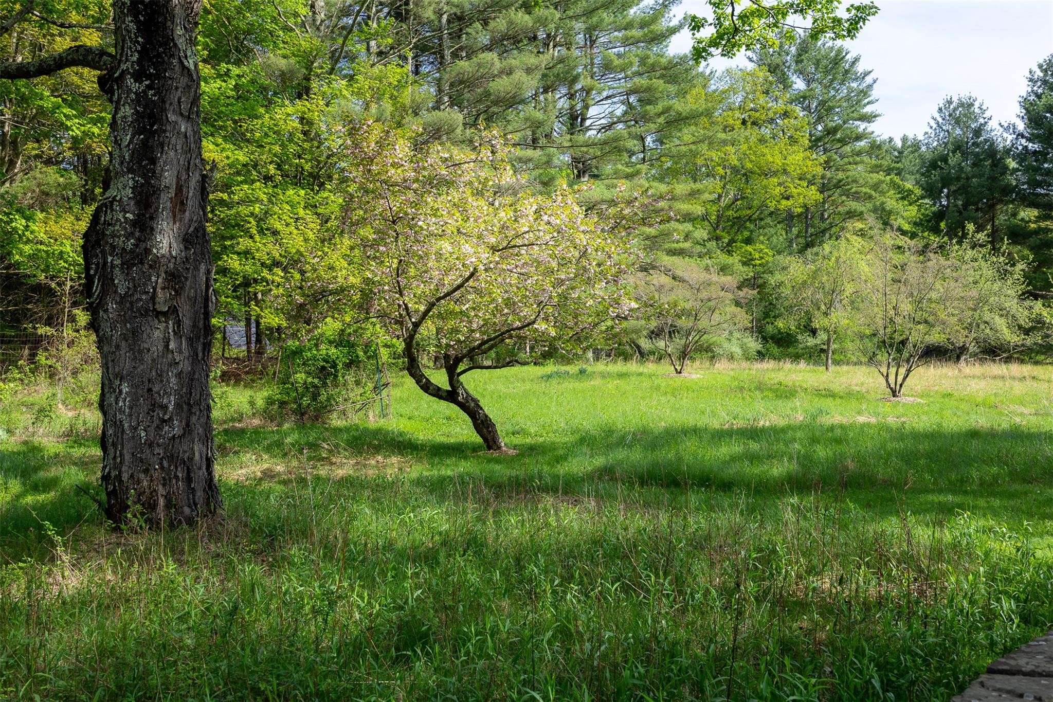 11 Louie Way, Woodstock, New York image 24