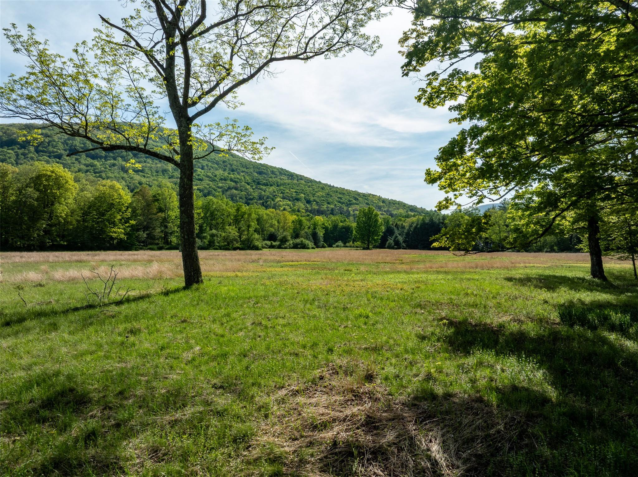 11 Louie Way, Woodstock, New York image 4