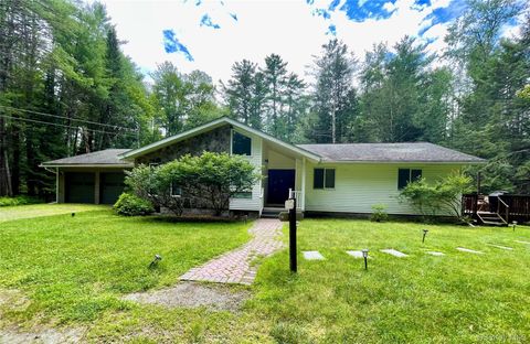 471 Horseshoe Lake Road Swan Lake NY 12783