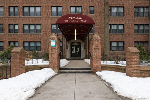 850 Saint Marks Avenue 4C Brooklyn NY 11213