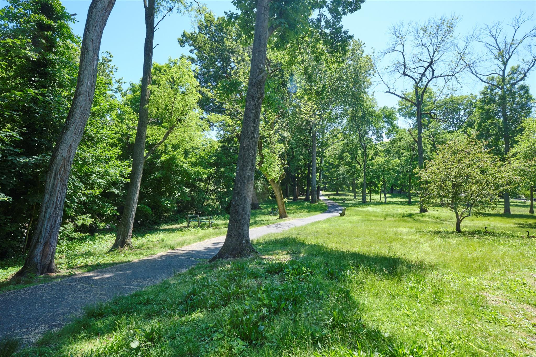 26 Pondfield Road #2F, Bronxville, New York image 14