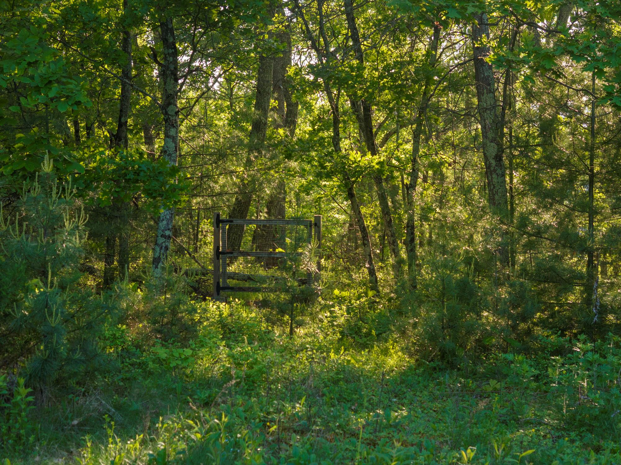 1401 State Route 28a, Hurley, New York image 35
