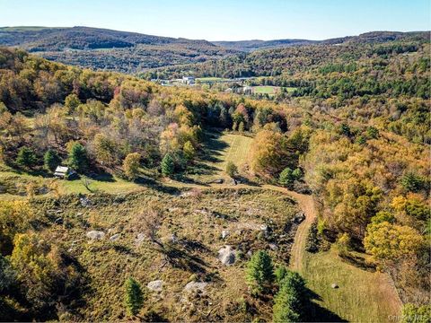 Vacant Land For Sale - TBD State Route 55 And Smith Lane<br/> Neversink, NY 12765