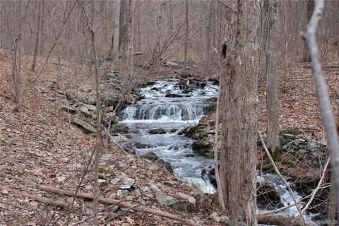 Vacant Land For Sale - 19 S Cross Road<br/> Staatsburg, NY 12580