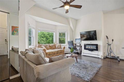 54 Wildey Street 9 Tarrytown NY 10591