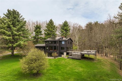 Homes For Sale - 41 Chicory Lane<br/> Austerlitz, NY 12017