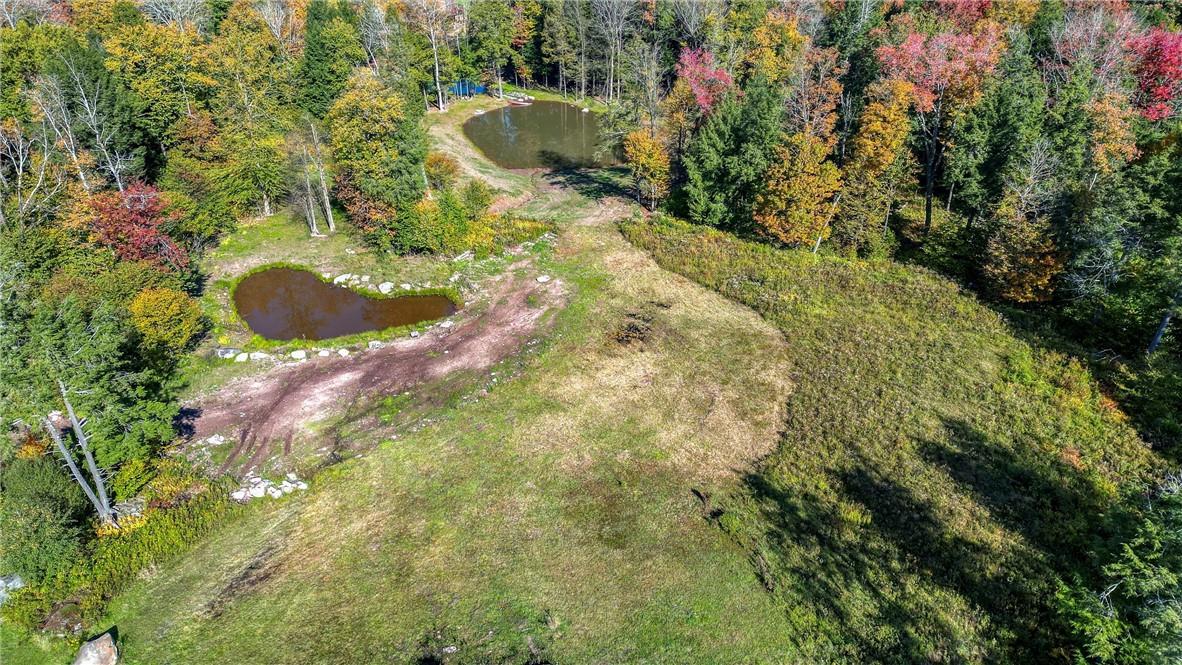 Black Bear Crossing, Parksville, New York image 10